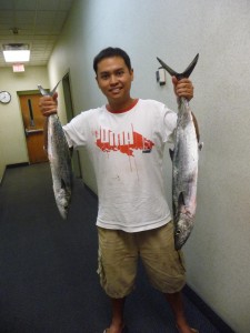 King Mackerels from Pensacola Pier